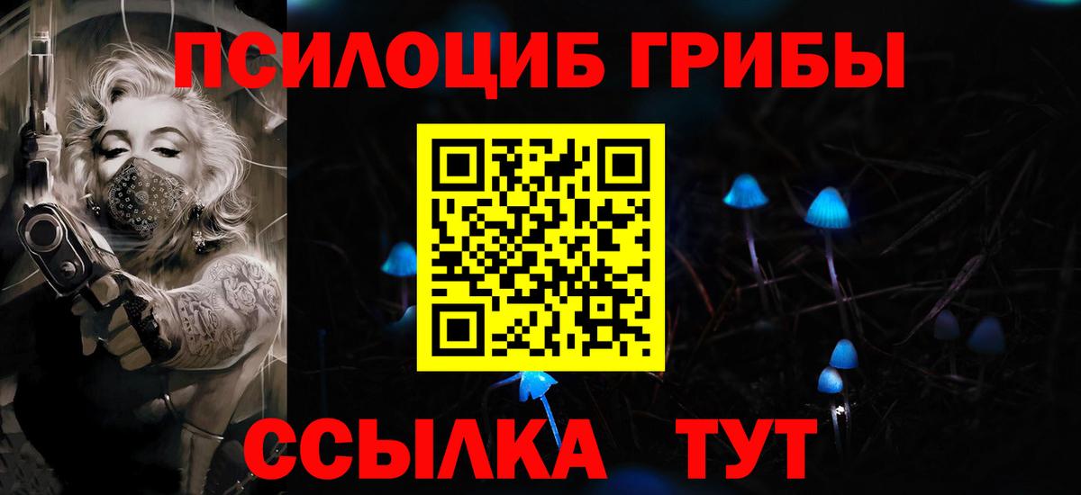 Псилоцибиновые грибы Psilocybe  Вход с VPN  Ивантеевка  Галлюциногенные грибы Magic Shrooms 