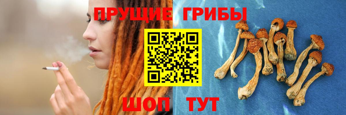 Псилоцибиновые грибы Magic Shrooms Ивантеевка